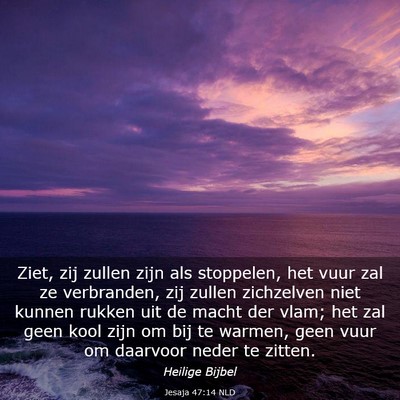 Picture 03 - Jesaja 47:14 NLD - Ziet, zij zullen zijn als stoppelen, het vuur zal - Bible Verse Picture
