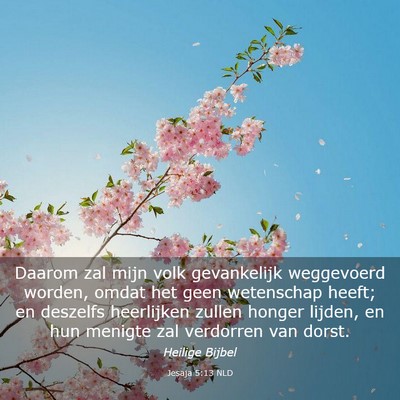 Picture 03 - Jesaja 5:13 NLD - Daarom zal mijn volk gevankelijk weggevoerd - Bible Verse Picture