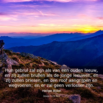 Picture 03 - Jesaja 5:29 NLD - Hun gebrul zal zijn als van een ouden leeuw, en - Bible Verse Picture