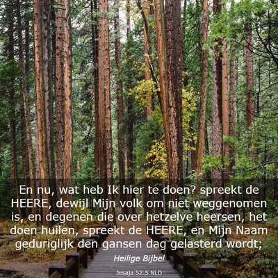 Picture 03 - Jesaja 52:5 NLD - En nu, wat heb Ik hier te doen? spreekt de HEERE, - Bible Verse Picture