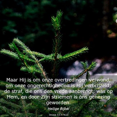 Picture 03 - Jesaja 53:5 NLD - Maar Hij is om onze overtredingen verwond, om - Bible Verse Picture