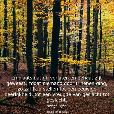 Picture 03 - Jesaja 60:15 NLD - In plaats dat gij verlaten en gehaat zijt - Bible Verse Picture