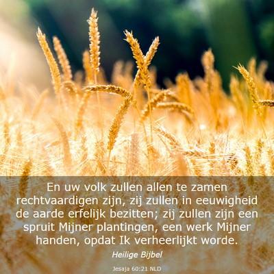 Picture 03 - Jesaja 60:21 NLD - En uw volk zullen allen te zamen rechtvaardigen - Bible Verse Picture