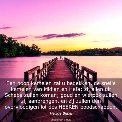 Picture 03 - Jesaja 60:6 NLD - Een hoop kemelen zal u bedekken, de snelle - Bible Verse Picture