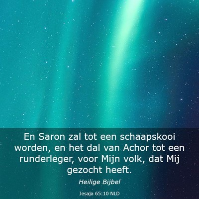 Picture 03 - Jesaja 65:10 NLD - En Saron zal tot een schaapskooi worden, en het - Bible Verse Picture