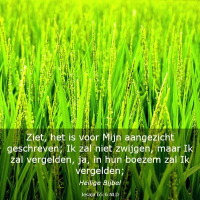Picture 03 - Jesaja 65:6 NLD - Ziet, het is voor Mijn aangezicht geschreven; Ik - Bible Verse Picture