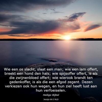 Picture 03 - Jesaja 66:3 NLD - Wie een os slacht, slaat een man; wie een lam - Bible Verse Picture