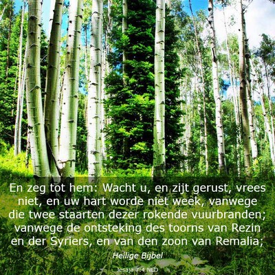 Picture 03 - Jesaja 7:4 NLD - En zeg tot hem: Wacht u, en zijt gerust, vrees - Bible Verse Picture