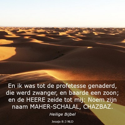 Picture 03 - Jesaja 8:3 NLD - En ik was tot de profetesse genaderd, die werd - Bible Verse Picture