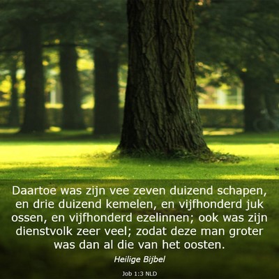 Picture 03 - Job 1:3 NLD - Daartoe was zijn vee zeven duizend schapen, en - Bible Verse Picture