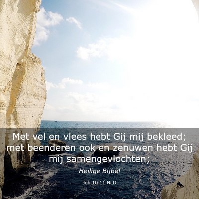 Picture 03 - Job 10:11 NLD - Met vel en vlees hebt Gij mij bekleed; met - Bible Verse Picture