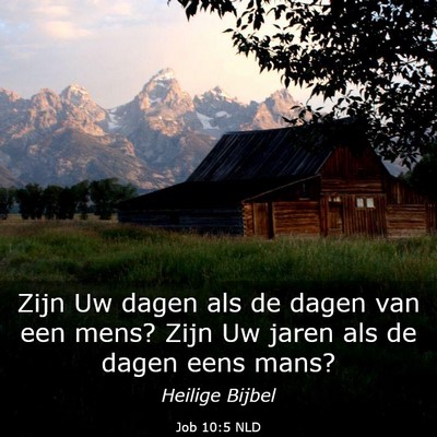 Picture 03 - Job 10:5 NLD - Zijn Uw dagen als de dagen van een mens? Zijn Uw - Bible Verse Picture