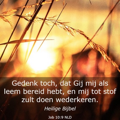Picture 03 - Job 10:9 NLD - Gedenk toch, dat Gij mij als leem bereid hebt, en - Bible Verse Picture