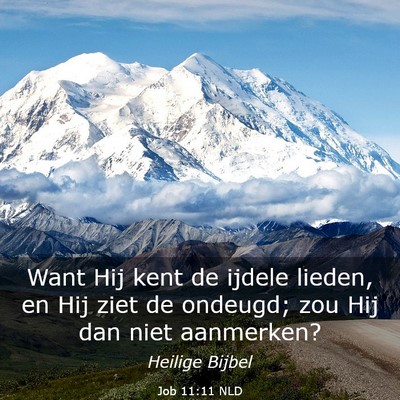 Picture 03 - Job 11:11 NLD - Want Hij kent de ijdele lieden, en Hij ziet de - Bible Verse Picture