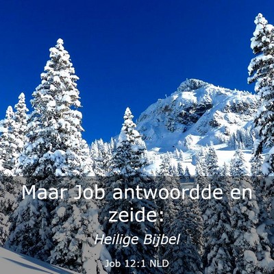 Picture 03 - Job 12:1 NLD - Maar Job antwoordde en - Bible Verse Picture