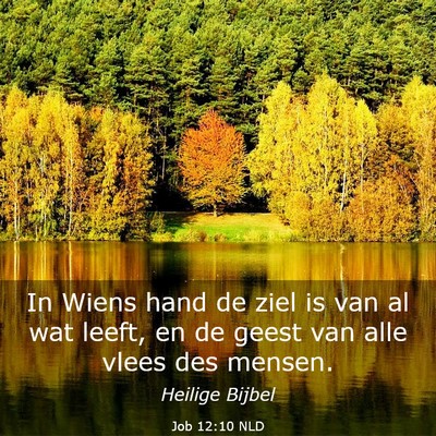 Picture 03 - Job 12:10 NLD - In Wiens hand de ziel is van al wat leeft, en de - Bible Verse Picture