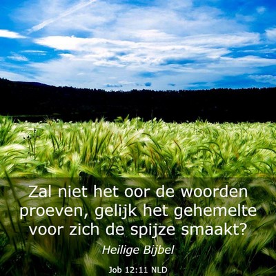Picture 03 - Job 12:11 NLD - Zal niet het oor de woorden proeven, gelijk het - Bible Verse Picture
