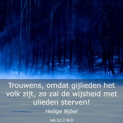 Picture 03 - Job 12:2 NLD - Trouwens, omdat gijlieden het volk zijt, zo zal - Bible Verse Picture