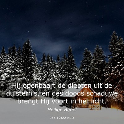 Picture 03 - Job 12:22 NLD - Hij openbaart de diepten uit de duisternis, en - Bible Verse Picture