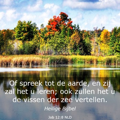 Picture 03 - Job 12:8 NLD - Of spreek tot de aarde, en zij zal het u leren; - Bible Verse Picture