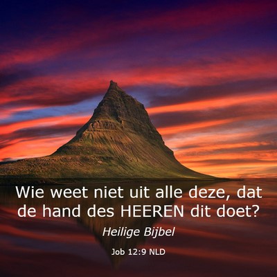Picture 03 - Job 12:9 NLD - Wie weet niet uit alle deze, dat de hand des - Bible Verse Picture