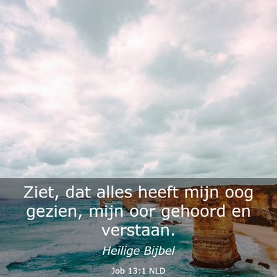 Picture 03 - Job 13:1 NLD - Ziet, dat alles heeft mijn oog gezien, mijn oor - Bible Verse Picture