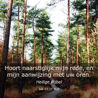 Picture 03 - Job 13:17 NLD - Hoort naarstiglijk mijn rede, en mijn aanwijzing - Bible Verse Picture