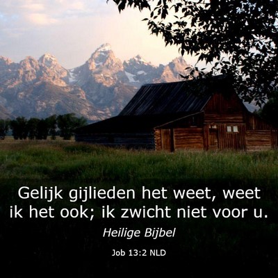 Picture 03 - Job 13:2 NLD - Gelijk gijlieden het weet, weet ik het ook; ik - Bible Verse Picture