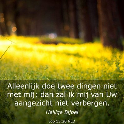 Picture 03 - Job 13:20 NLD - Alleenlijk doe twee dingen niet met mij; dan zal - Bible Verse Picture