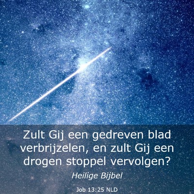 Picture 03 - Job 13:25 NLD - Zult Gij een gedreven blad verbrijzelen, en zult - Bible Verse Picture
