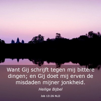 Picture 03 - Job 13:26 NLD - Want Gij schrijft tegen mij bittere dingen; en - Bible Verse Picture