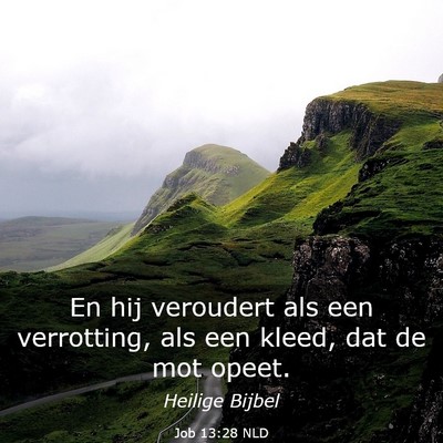 Picture 03 - Job 13:28 NLD - En hij veroudert als een verrotting, als een - Bible Verse Picture