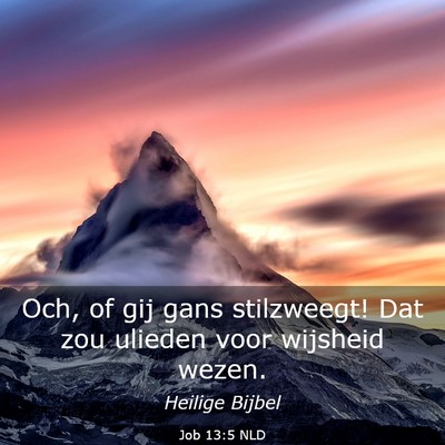 Picture 03 - Job 13:5 NLD - Och, of gij gans stilzweegt! Dat zou ulieden voor - Bible Verse Picture