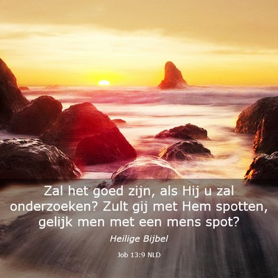 Picture 03 - Job 13:9 NLD - Zal het goed zijn, als Hij u zal onderzoeken? - Bible Verse Picture