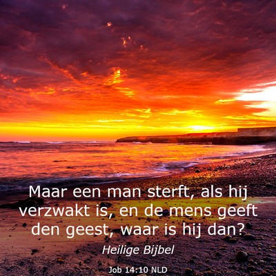 Picture 03 - Job 14:10 NLD - Maar een man sterft, als hij verzwakt is, en de - Bible Verse Picture