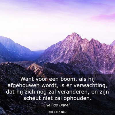 Picture 03 - Job 14:7 NLD - Want voor een boom, als hij afgehouwen wordt, is - Bible Verse Picture