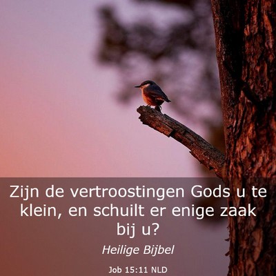 Picture 03 - Job 15:11 NLD - Zijn de vertroostingen Gods u te klein, en - Bible Verse Picture