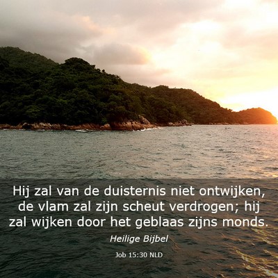 Picture 03 - Job 15:30 NLD - Hij zal van de duisternis niet ontwijken, de vlam - Bible Verse Picture