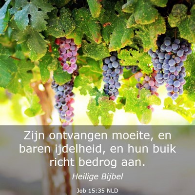 Picture 03 - Job 15:35 NLD - Zijn ontvangen moeite, en baren ijdelheid, en hun - Bible Verse Picture