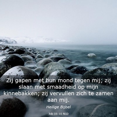 Picture 03 - Job 16:10 NLD - Zij gapen met hun mond tegen mij; zij slaan met - Bible Verse Picture