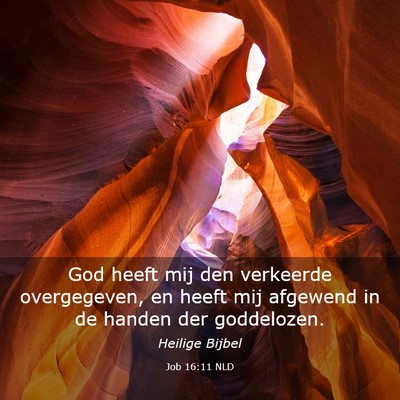 Picture 03 - Job 16:11 NLD - God heeft mij den verkeerde overgegeven, en heeft - Bible Verse Picture
