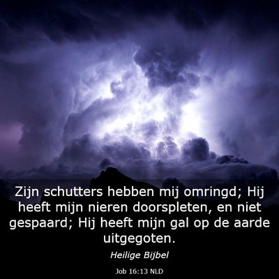 Picture 03 - Job 16:13 NLD - Zijn schutters hebben mij omringd; Hij heeft mijn - Bible Verse Picture