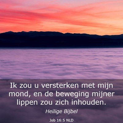 Picture 03 - Job 16:5 NLD - Ik zou u versterken met mijn mond, en de beweging - Bible Verse Picture