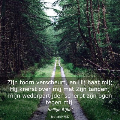 Picture 03 - Job 16:9 NLD - Zijn toorn verscheurt, en Hij haat mij; Hij - Bible Verse Picture