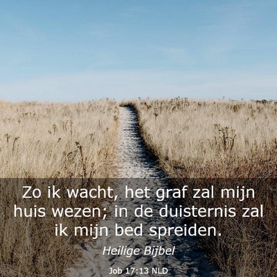 Picture 03 - Job 17:13 NLD - Zo ik wacht, het graf zal mijn huis wezen; in de - Bible Verse Picture