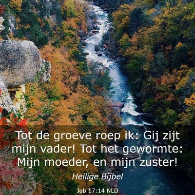Picture 03 - Job 17:14 NLD - Tot de groeve roep ik: Gij zijt mijn vader! Tot - Bible Verse Picture