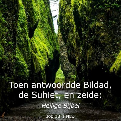 Picture 03 - Job 18:1 NLD - Toen antwoordde Bildad, de Suhiet, en - Bible Verse Picture