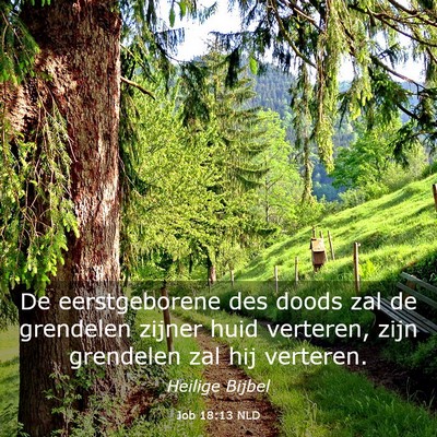 Picture 03 - Job 18:13 NLD - De eerstgeborene des doods zal de grendelen - Bible Verse Picture