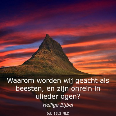 Picture 03 - Job 18:3 NLD - Waarom worden wij geacht als beesten, en zijn - Bible Verse Picture