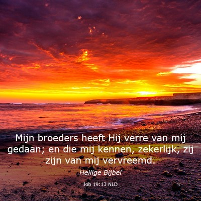 Picture 03 - Job 19:13 NLD - Mijn broeders heeft Hij verre van mij gedaan; en - Bible Verse Picture
